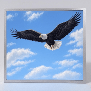 15-inch High-Brightness TFT LCD Displays for Outdoor Use